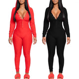 Holiday Onesies